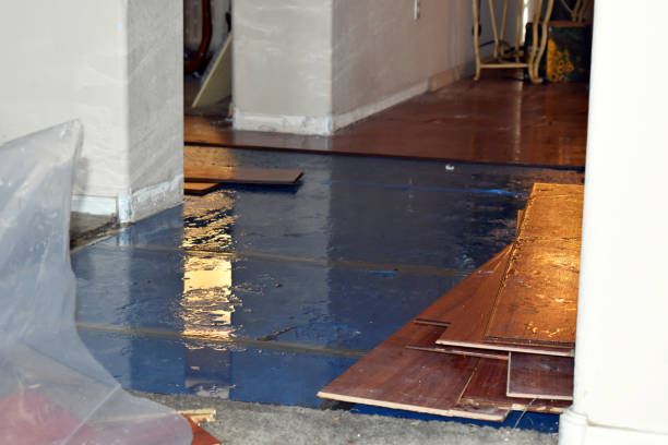 Professional Basement Flood Cleanup technician working in Put In Bay, OH